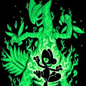 Meet your Posher, Evan